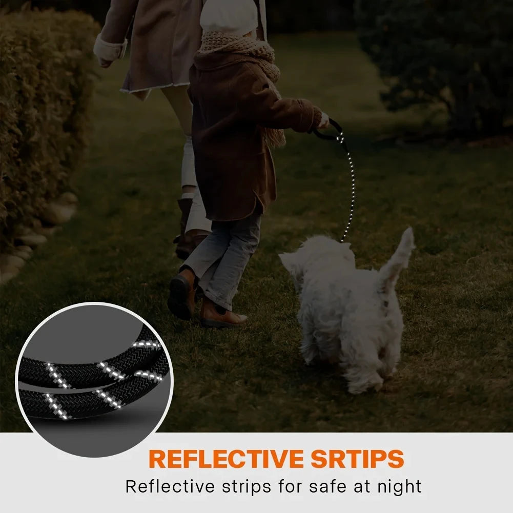 PawVault reflective leash illuminated in low light conditions – PawVault