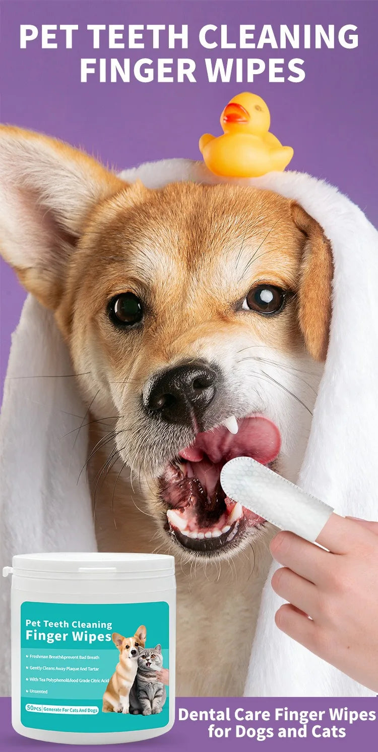 Dog accepting PawVault dental wipe in daily cleaning routine – PawVault