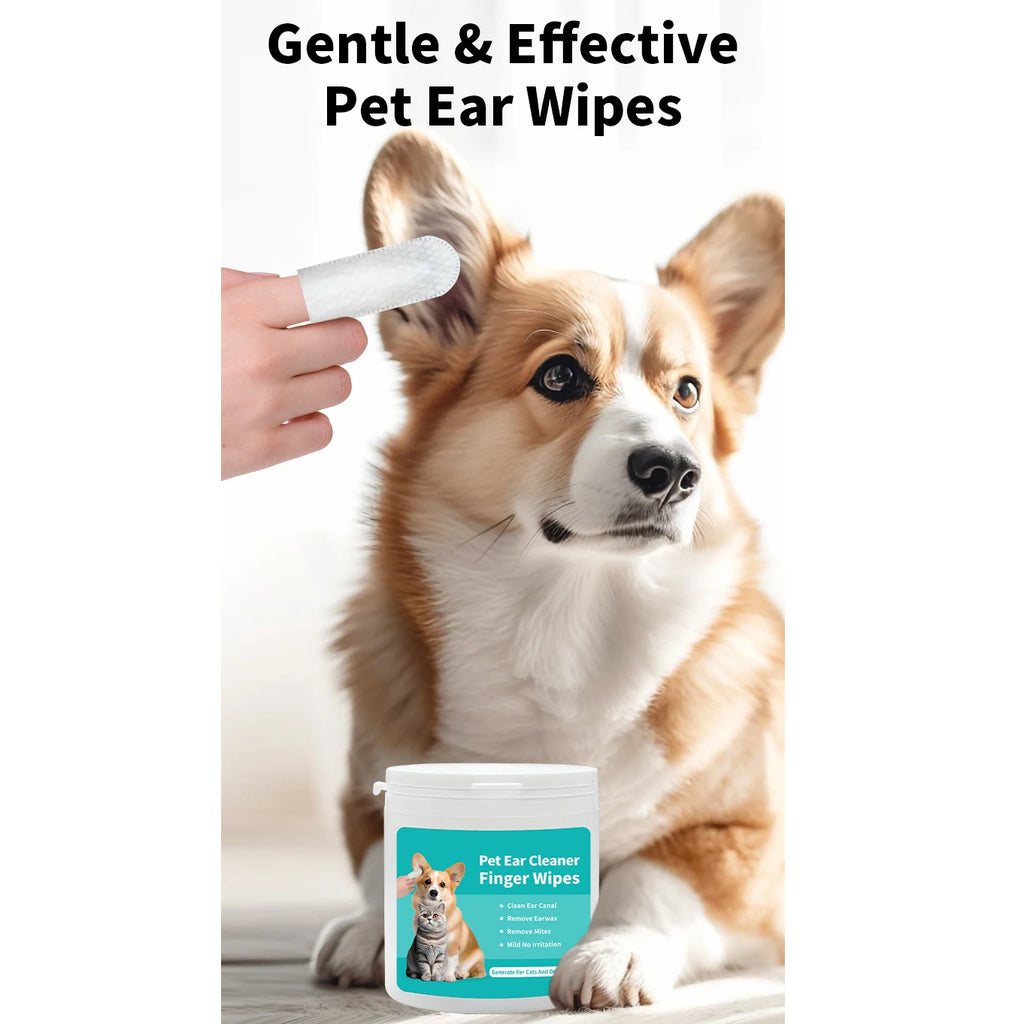 Cat ear being gently cleaned with PawVault pet ear wipe – PawVault