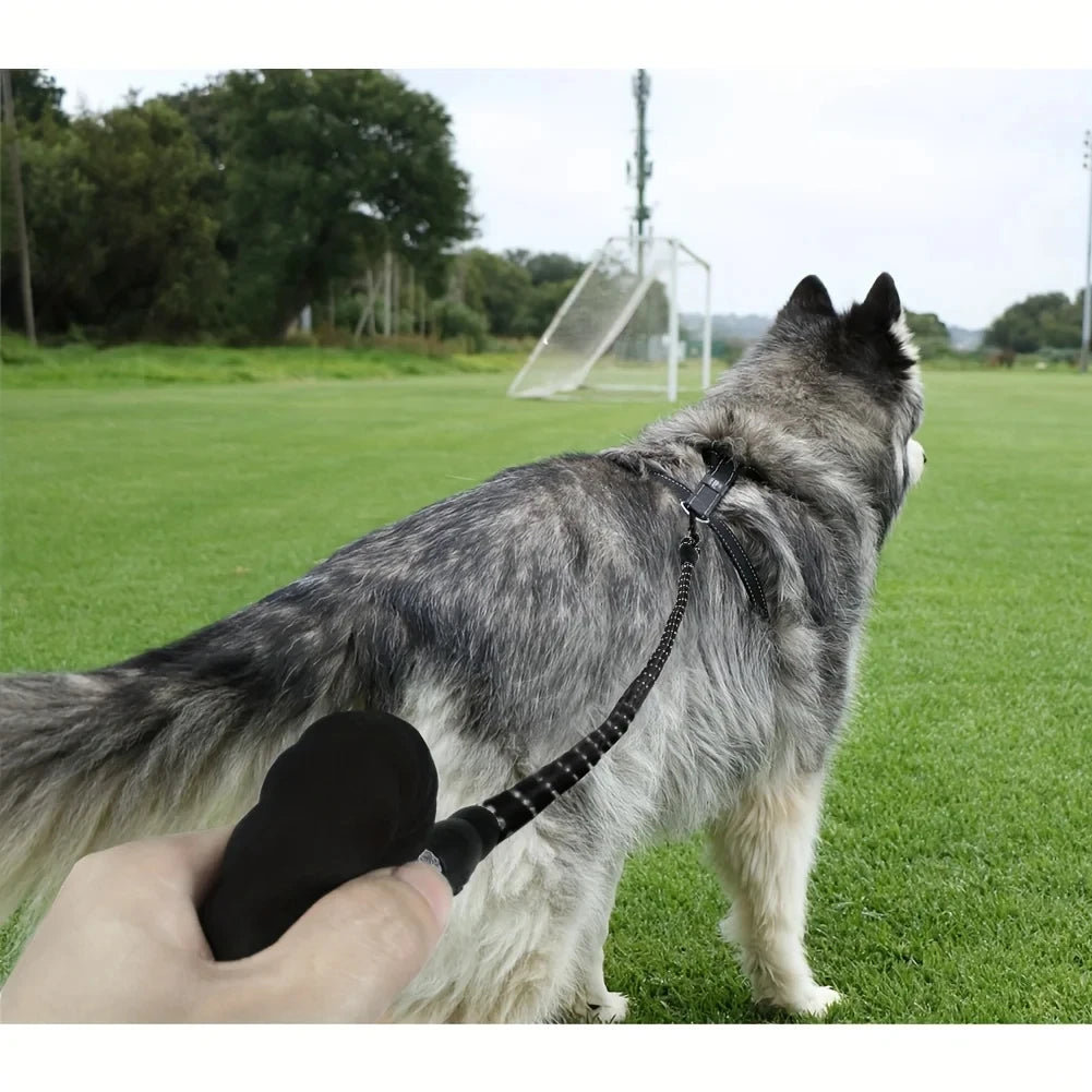 Owner gripping PawVault padded reflective leash handle – PawVault