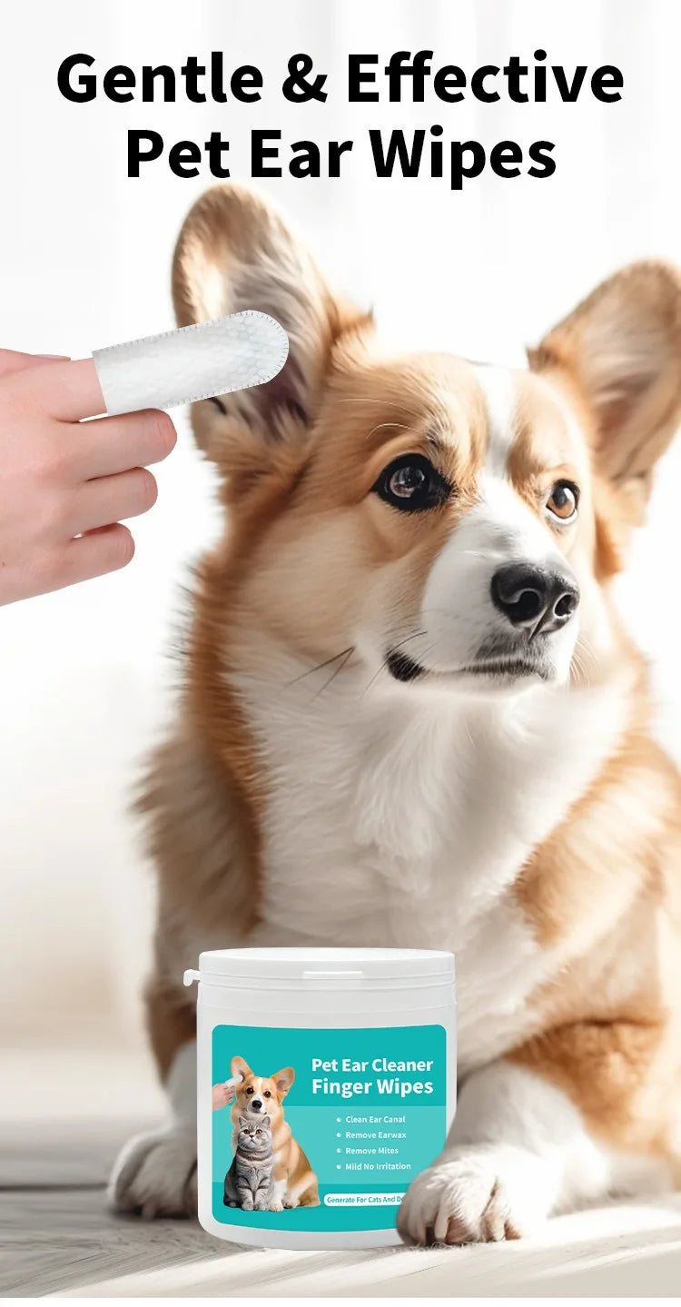 Dog sitting calmly during ear care with PawVault ear wipes – PawVault